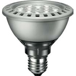 LED Lamps