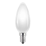 Halogen Lamps