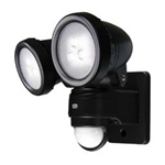 Security Light